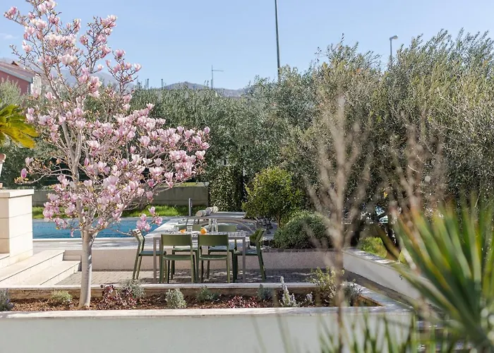 The Olive Poolhouse Split