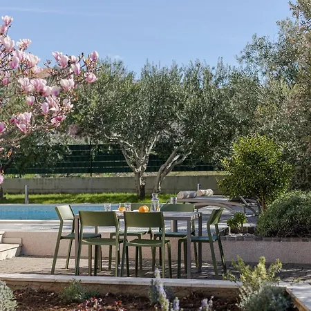 The Olive Poolhouse דירה *